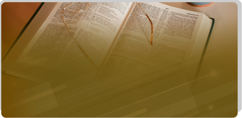 The Discipleship Institute